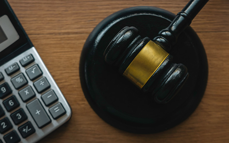 Vigilant-litigation-services Legal-services-with-due-diligence